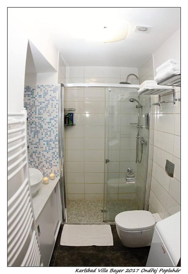 Apartman Vila Bayer Karlovy Vary Extérieur photo