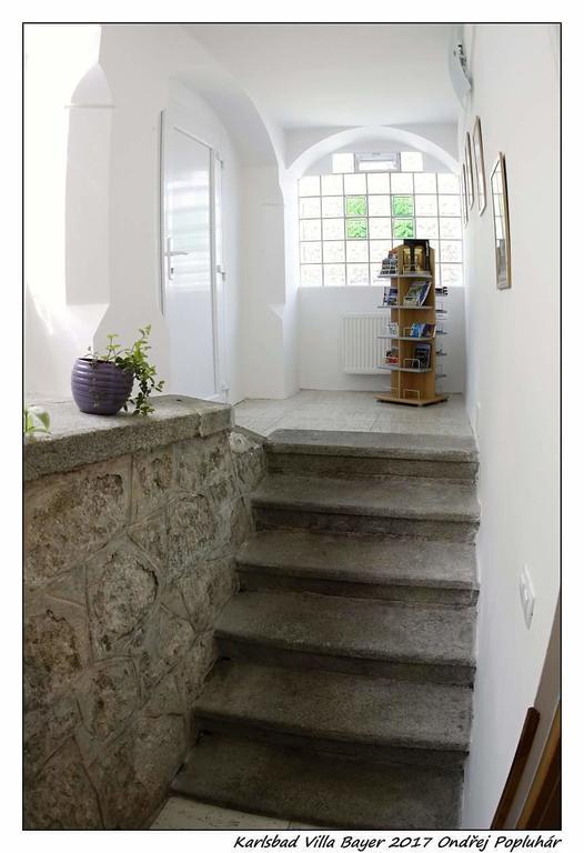 Apartman Vila Bayer Karlovy Vary Extérieur photo