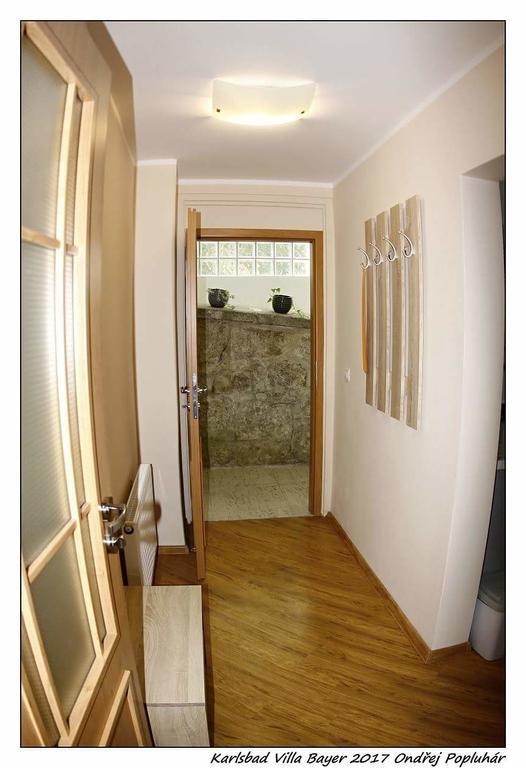 Apartman Vila Bayer Karlovy Vary Extérieur photo