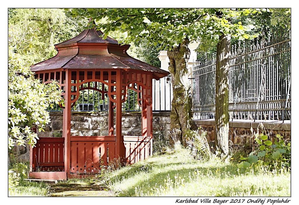 Apartman Vila Bayer Karlovy Vary Extérieur photo