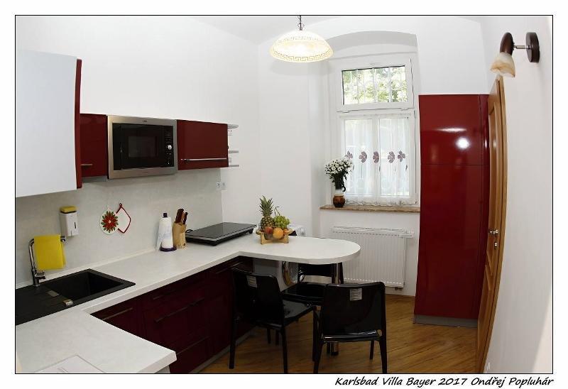Apartman Vila Bayer Karlovy Vary Extérieur photo
